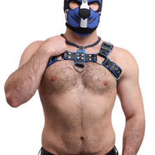 Load image into Gallery viewer, SRL Bulldog Harness