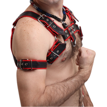 Load image into Gallery viewer, SRL Bulldog Harness