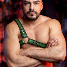 Load image into Gallery viewer, Asymmetrical Harness