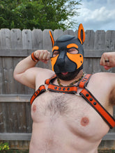Load image into Gallery viewer, Focus Duo Bulldog Harness
