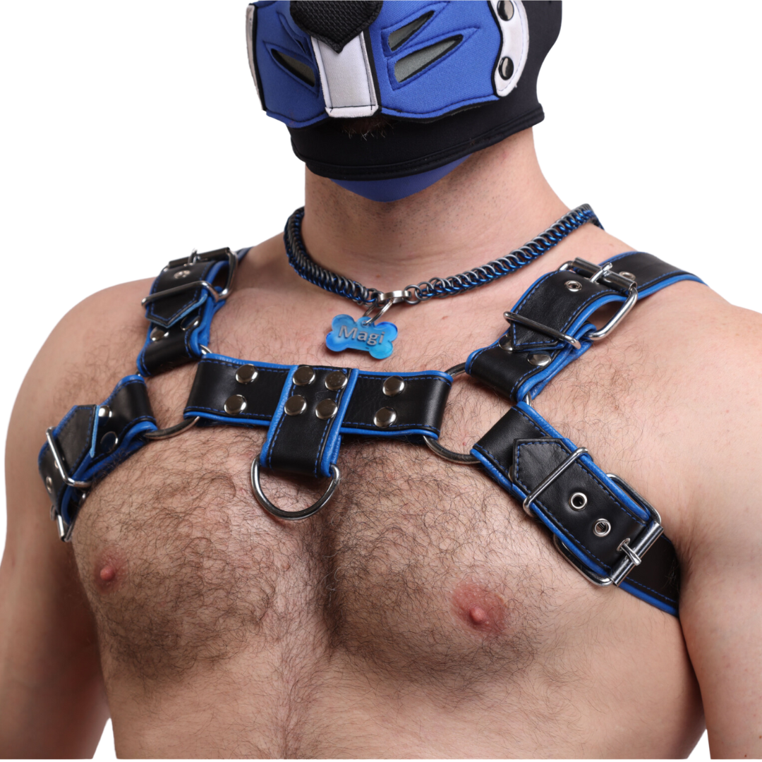 SRL Bulldog Harness – Sir Rat Leather
