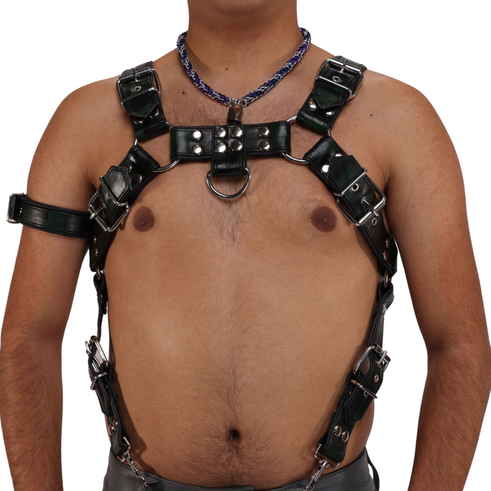 SRL PI Harness