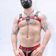 Load image into Gallery viewer, Bold Harness

