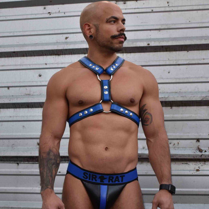 British Harness